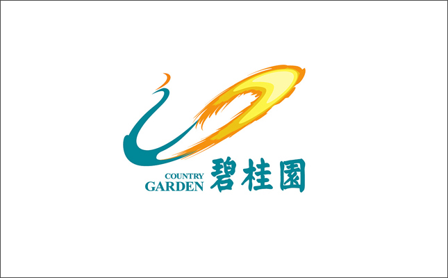 碧桂園控股有限公司